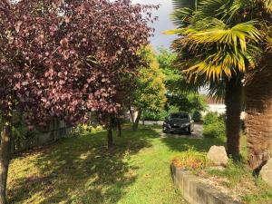 A garden outside A PORTELA - Pereiro de Aguiar