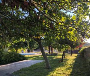 A garden outside A PORTELA - Pereiro de Aguiar
