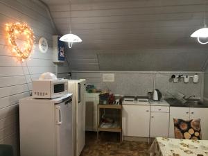uma cozinha com um frigorífico branco e um micro-ondas em Apartment E-95 em Lozhki