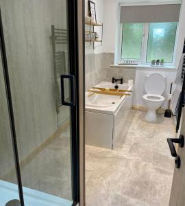 a bathroom with a toilet and a sink and a shower at Johnstonebridge Cottage in Johnstonebridge