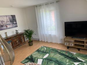TV a/nebo společenská místnost v ubytování Boardinghouse Saargau