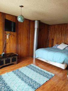 a bedroom with a bed and a television and two rugs at lotus shared-house in Puerto Montt