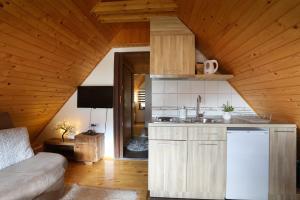 a kitchen with a sink and a stove in a room at Apartments Sport House Novakovic in Jahorina