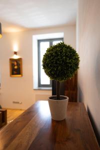 Fotografie z fotogalerie ubytování Black Field Apartment v destinaci Brno