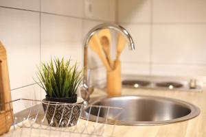 a kitchen sink with a potted plant on a counter at Apartments Sport House Novakovic in Jahorina