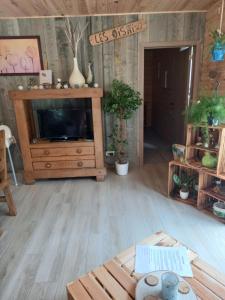 sala de estar con TV y suelo de madera en Le chalet des Oisaï, en Wibrin