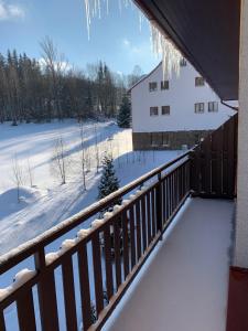 Apartmán Kvapil Lipová-lázně v zimě