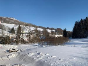 Apartmán Kvapil Lipová-lázně v zimě