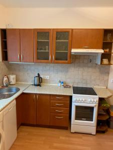 Kuchyň nebo kuchyňský kout v ubytování Apartmán Kvapil Lipová-lázně + 18 fotografií