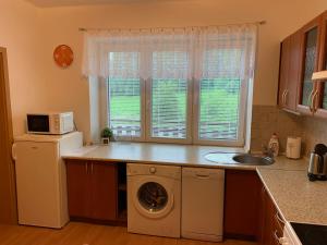 Kuchyň nebo kuchyňský kout v ubytování Apartmán Kvapil Lipová-lázně