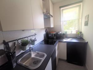 Kuchyňa alebo kuchynka v ubytovaní Apartment Summer escape Rovinj with free street parking