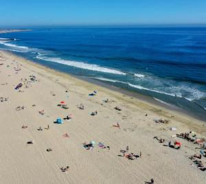 un grupo de personas en una playa cerca del océano en Newport Channel Inn, en Newport Beach