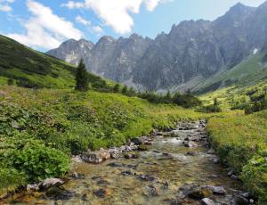 a stream in a valley with mountains in the background at Chata Javorina in Javorina