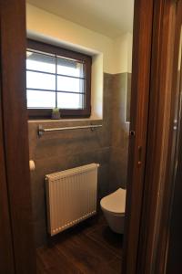 a bathroom with a toilet and a window at Apartmány U Fibichů in Orlické Záhoří 