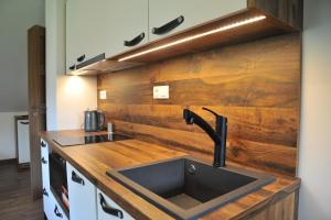Kuchyň nebo kuchyňský kout v ubytování Apartmány U Fibichů + 12 fotografií