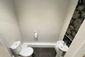 uma casa de banho branca com um WC e um lavatório em Countryside Annexe, with hottub, sleeps up to 4 em Durston