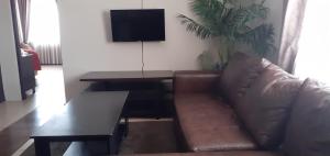 Χώρος καθιστικού στο Comfy & Spacious Apartments +2 φωτογραφίες