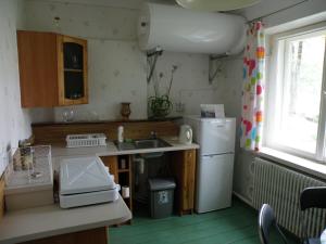 a small kitchen with a sink and a refrigerator at Rubeni in Pilskalne