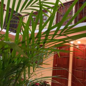 Gallery image of Hotel Santa Fe in Chignahuapan