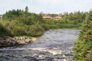 Fotografie z fotogalerie ubytování Riverside Chalets v destinaci River of Ponds