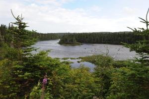 Fotografie z fotogalerie ubytování Riverside Chalets v destinaci River of Ponds + 16 fotografií