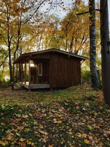 uma pequena cabana no meio de uma floresta em Rijnieki upes namiņš em Koknese
