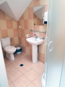 La salle de bains est pourvue d'un lavabo et de toilettes. dans l'établissement Kambarių nuoma - Pašakarniai SAURIDA, à Akmenė