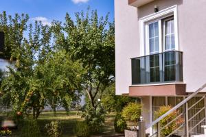 Сад в Airport Garden Hotel