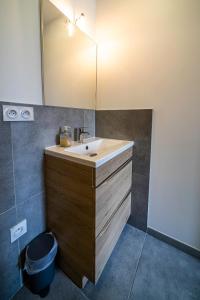 グルノーブルにあるle Cosy Rock / Rent4night Grenobleの洗面台と鏡のあるバスルーム +27枚の写真