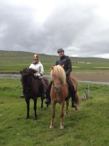 Foto da galeria de Kópareykir Cottage em Reykholt