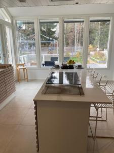 ロヴァニエミにあるScandinavian Style Villaの窓付きの客室で、島付きのキッチンが備わります。