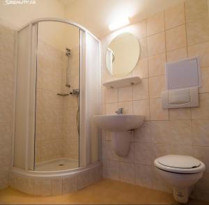 a bathroom with a shower and a sink and a toilet at Apartmán Tony Slapy in Slapy