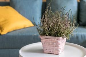 Posedenie v ubytovaní Rent like home - Żeromskiego 10