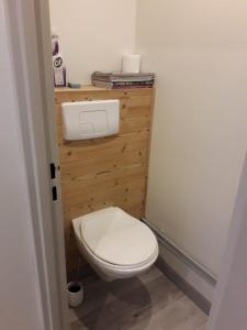 a bathroom with a white toilet in a room at Appartement 39 m, 2 pièces, départ, retour ski à 150 m, belle vue in Tignes