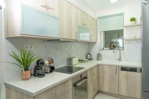 a kitchen with wooden cabinets and a counter top at Tzortzi's Family Apartments in Kaloi Limenes