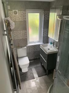 a bathroom with a toilet and a sink and a window at Tenby Flat in Pembrokeshire