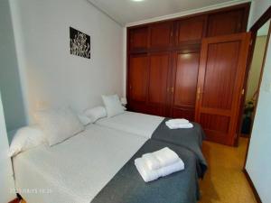 Katil atau katil-katil dalam bilik di Casa Lolita / Camino de Santiago / Porriño