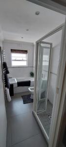 a bathroom with a toilet and a sink and a mirror at CherryPlum self-catering in Cape Town