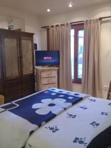 a bedroom with a bed and a television in it at Aparts de los Pajaros in El Calafate
