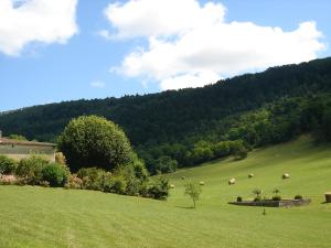 Naturlandschaft in der Nähe des Bed & Breakfasts