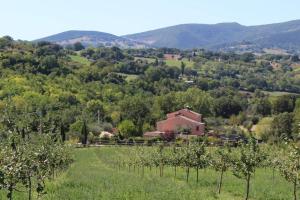 - une vue sur un vignoble avec un bâtiment et des arbres dans l'établissement Casa Kikenda, viaggio nella Natura, à Treia