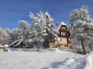 a house covered in snow in front of trees at FeWo Forstvilla Beuron in Beuron