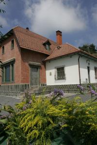 Zahrada ubytování Hotel Villa Dorata