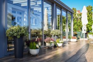 a group of potted plants in a greenhouse at Villa Bałtycka in Gdańsk