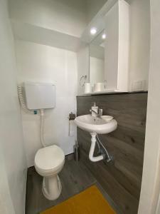 a bathroom with a white toilet and a sink at Apartman Georg in Zrenjanin