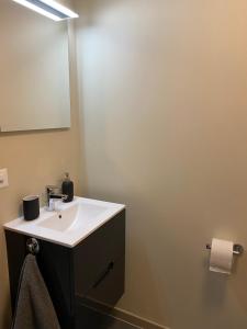 een badkamer met een witte wastafel en een spiegel bij Joli Studio près des Bains de Lavey in Savatan