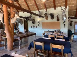 Restaurace v ubytování Outspan Safaris