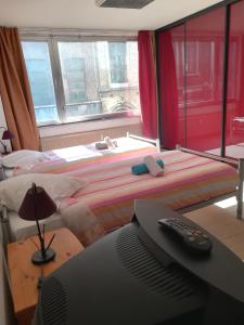 1 dormitorio con 1 cama y escritorio con TV en Charleroi Apartotel Des Jardins De La Fontaine Qui Bout, en Charleroi