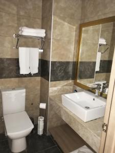 W łazience znajduje się toaleta, umywalka i lustro. w obiekcie Nice Royal w Stambule