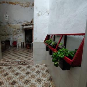 Fotografie z fotogalerie ubytování La Gata Mala v destinaci Navarrés
